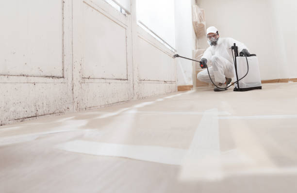 24/7 Emergency Mold Removal experts in Rosedale, WA